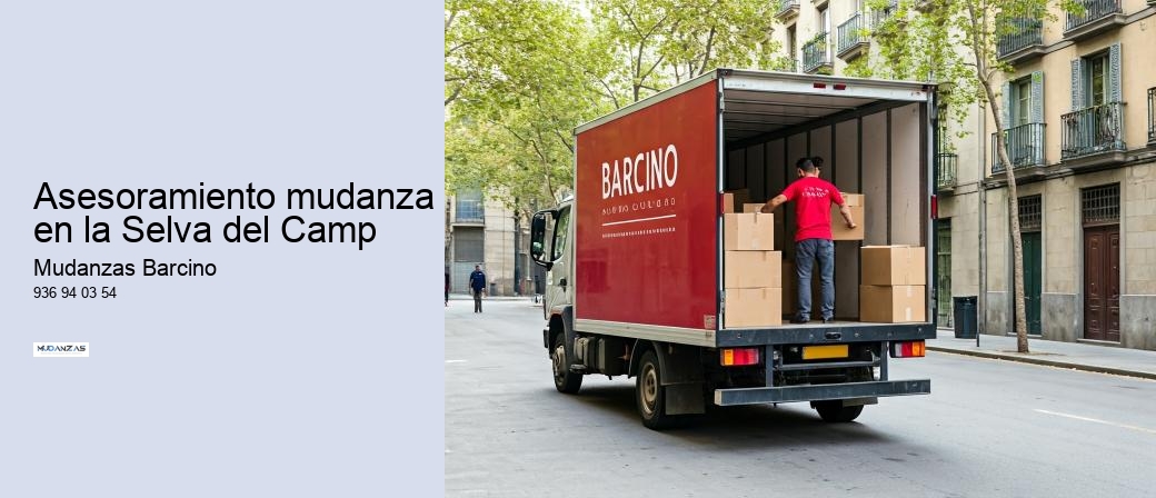 Asesoramiento mudanza en la Selva del Camp 