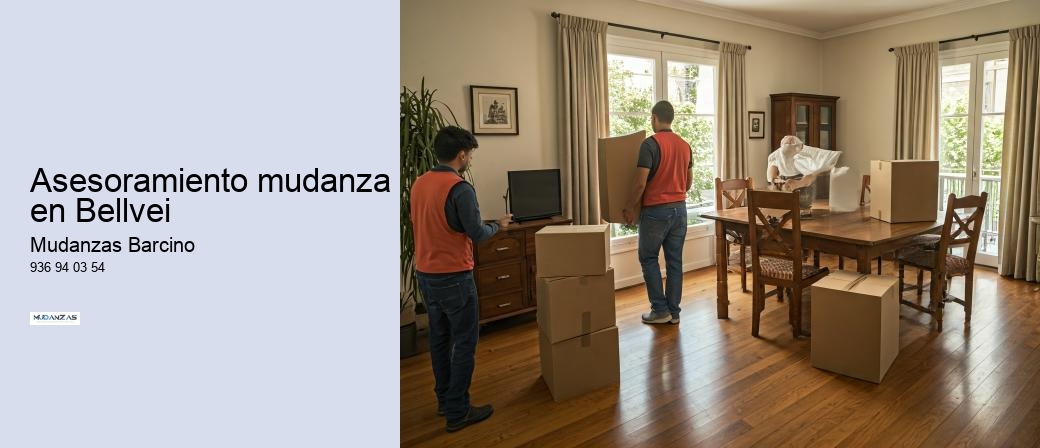 Asesoramiento mudanza en Bellvei 