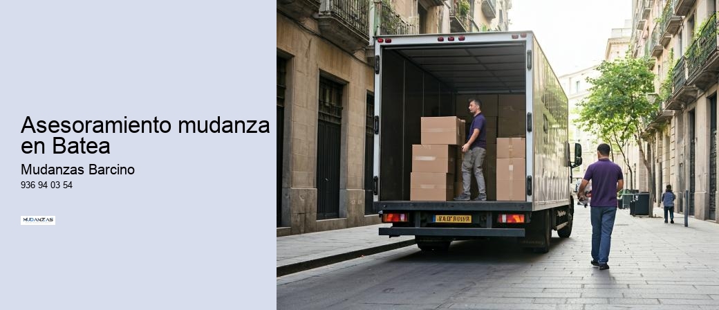 Asesoramiento mudanza en Batea 
